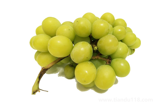 陽光玫瑰葡萄和晴王葡萄哪個價格貴3