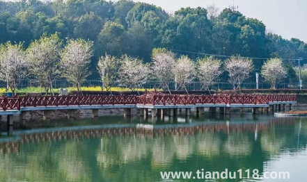 2022國(guó)慶開(kāi)車(chē)去長(zhǎng)沙是1號(hào)走好還是30號(hào)晚上好(國(guó)慶開(kāi)車(chē)去長(zhǎng)沙什么時(shí)候堵車(chē)厲害)(圖3) 2022國(guó)慶開(kāi)車(chē)去長(zhǎng)沙是1號(hào)走好還是30號(hào)晚上好3