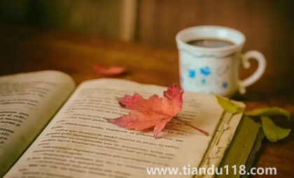 2022年專升本是大二考還是大三考（如何準(zhǔn)備專升本考試）