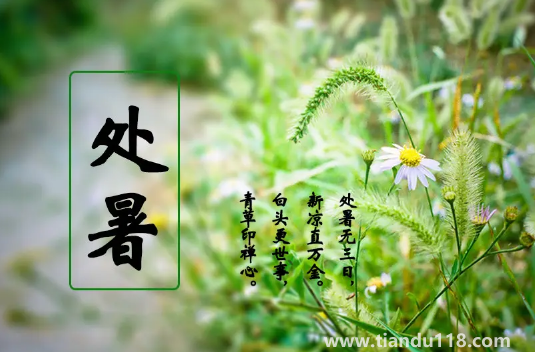 2022年處暑是幾月幾號(hào)幾點(diǎn)幾分幾秒鐘3