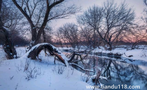 2022年一九是哪天幾月幾號星期幾(冬至是一九的開始嗎)(圖3) 2022年一九是哪天幾月幾號星期幾3