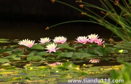 以后夏天會(huì)一年熱過(guò)一年嗎(為何近兩年溫度越來(lái)越熱)(圖1) 以后夏天會(huì)一年熱過(guò)一年嗎1