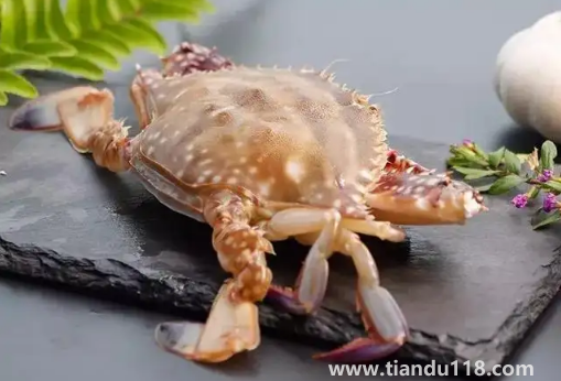 梭子蟹買回來沒多久就死了可以吃嗎(梭子蟹的做法推薦)(圖2) 梭子蟹買回來沒多久就死了可以吃嗎2