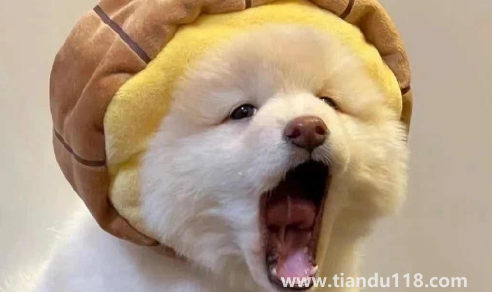 男人真正放棄你會(huì)更換頭像嗎(為什么男生要和你用情頭)(圖3) 男人真正放棄你會(huì)更換頭像嗎3