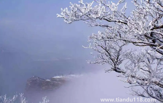 2022數(shù)九從哪一天開始到哪一天結(jié)束(數(shù)九要注意什么)(圖2) 2022數(shù)九從哪一天開始到哪一天結(jié)束2