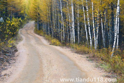 漠河九月份有極光嗎(九月份適不適合去漠河玩)(圖2) 漠河九月份有極光嗎2