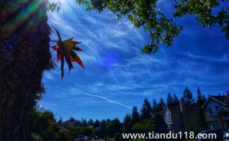 2022北京的冬天什么時(shí)候開始冷(北京的冬天多長時(shí)間)(圖1) 2022北京的冬天什么時(shí)候開始冷1