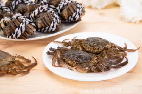 買來(lái)的活螃蟹暫時(shí)不吃怎么保存(螃蟹放冰箱能放多久)(圖3) 買來(lái)的活螃蟹暫時(shí)不吃怎么保存3