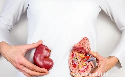 止痛藥吃多了會導致腎衰竭嗎(腎衰竭怎么引起來的)(圖1) 止痛藥吃多了會導致腎衰竭嗎1