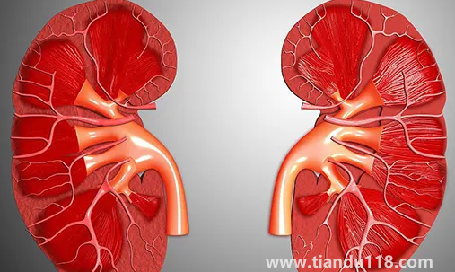 止痛藥吃多了會導致腎衰竭嗎(腎衰竭怎么引起來的)(圖2) 止痛藥吃多了會導致腎衰竭嗎2