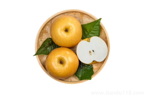 秋月梨和雪梨哪個(gè)止咳效果好(秋月梨怎么挑選)(圖2) 秋月梨和雪梨哪個(gè)止咳效果好2