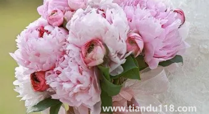 男方娶親當天手捧花必須要準備嗎(男方娶親當天要注意什么)(圖2) 男方娶親當天手捧花必須要準備嗎2