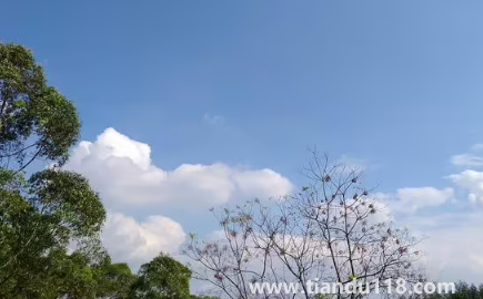 云南11月份溫度一般是多少(十一月份的云南應該帶什么衣服)(圖3) 云南11月份溫度一般是多少3