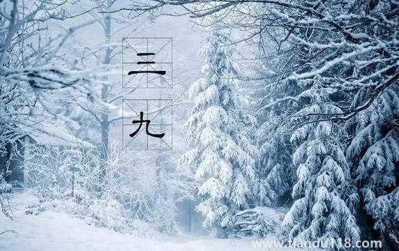 2023年三九天是幾號開始幾號結束（三九天怎么養(yǎng)生）