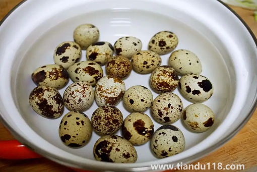 鵪鶉蛋和雞蛋哪個小孩吃了好(鵪鶉蛋和雞蛋的區(qū)別)(圖3) 鵪鶉蛋和雞蛋哪個小孩吃了好3