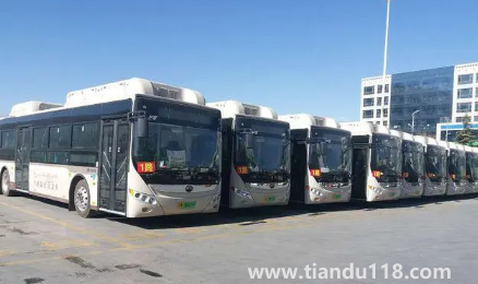 2022年大連11月份冷嗎(11月份適不適合去大連)(圖2) 2022年大連11月份冷嗎2