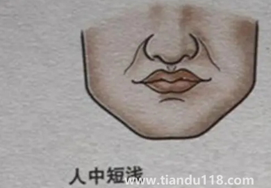 人中上的痣能去掉嗎(男人人中長(zhǎng)痣好不好)(圖3) 人中上的痣能去掉嗎3