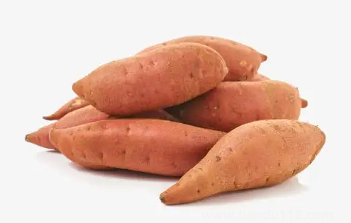 紅薯冒乳白色液體還能吃嗎（怎么樣知道紅薯壞了）