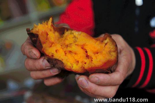 烤紅薯和蒸紅薯的熱量是一樣的嗎(烤紅薯減肥期間可以吃嗎)(圖2) 烤紅薯和蒸紅薯的熱量是一樣的嗎2