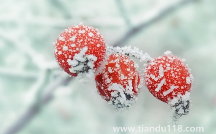 2022年霜降會提前嗎(先立冬還是先霜降)(圖1) 2022年霜降會提前嗎1