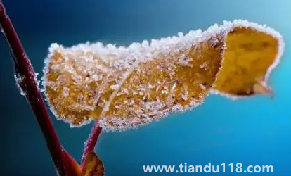 2022年霜降會提前嗎(先立冬還是先霜降)(圖2) 2022年霜降會提前嗎2