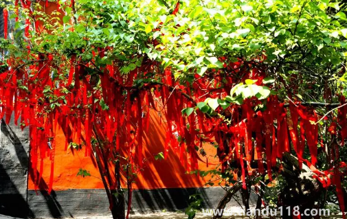 2022年11月3日適合祈福嗎(祈福的日子有什么講究)(圖2) 2022年11月3日適合祈福嗎2