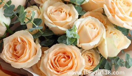 網(wǎng)上買(mǎi)的鮮花回來(lái)怎么泡好(網(wǎng)購(gòu)鮮花為什么要醒花)(圖2) 網(wǎng)上買(mǎi)的鮮花回來(lái)怎么泡好2