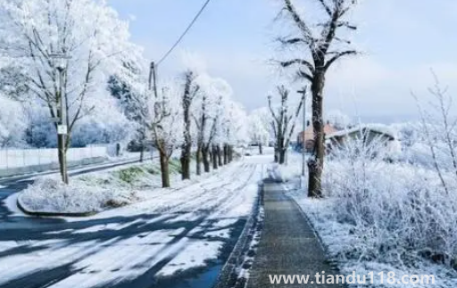 今年三九是最冷的時(shí)候嗎2023(為什么三九天最冷)(圖2) 今年三九是最冷的時(shí)候嗎20232