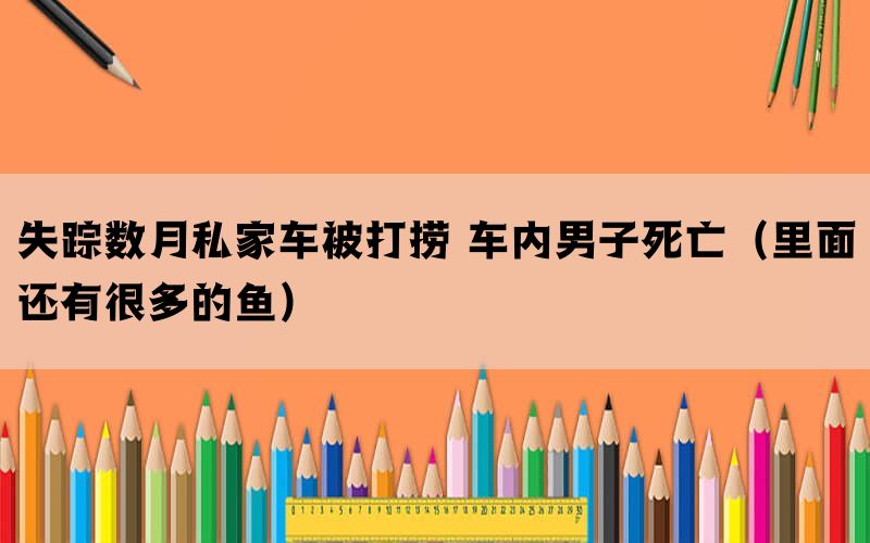 失蹤數(shù)月私家車被打撈 車內(nèi)男子死亡（里面還有很多的魚）