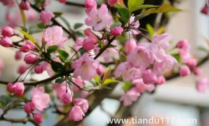 2023春節(jié)后氣溫還會下降嗎（春節(jié)后氣溫會出現什么變化）