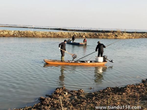 女子放生2.5萬(wàn)斤鲇魚被起訴（女子繳9萬(wàn)處置費(fèi)）